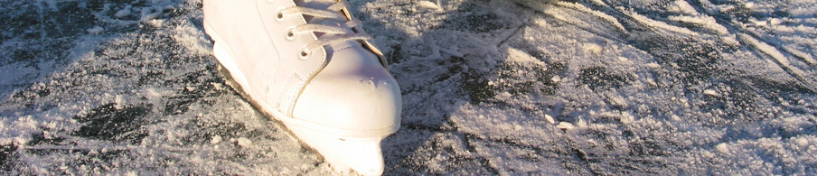 Skating Registration